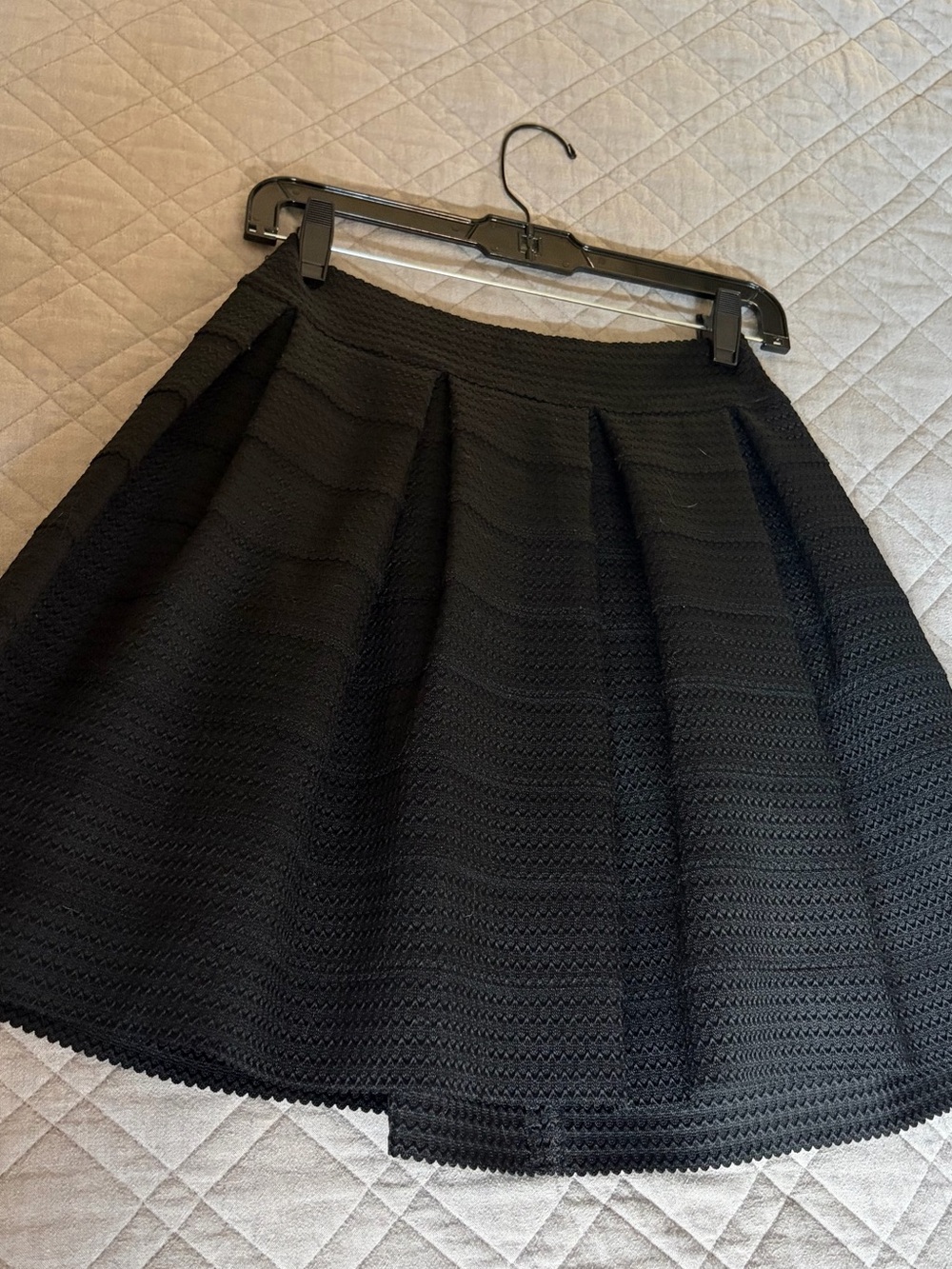 Black Pleated Express A-Line Skirt